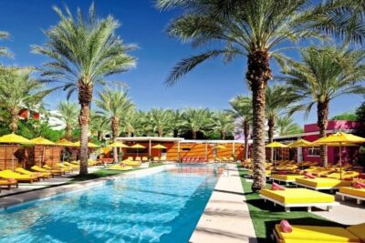 Pool of Saguaro Scottsdale