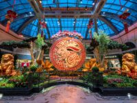 Conservatory with a lot of plants with a round rabbit seal