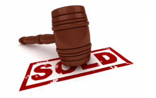 Auctioneer gavel